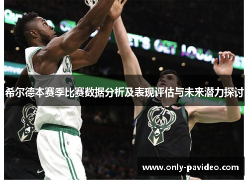 希尔德本赛季比赛数据分析及表现评估与未来潜力探讨
