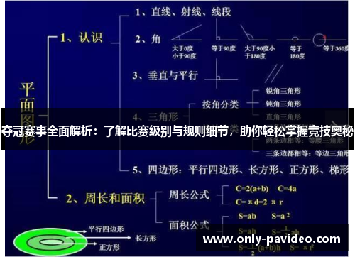 夺冠赛事全面解析：了解比赛级别与规则细节，助你轻松掌握竞技奥秘