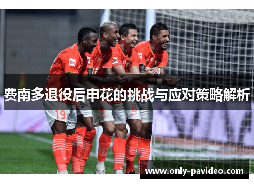 费南多退役后申花的挑战与应对策略解析 费南多退役后申花的挑战与应对策略解析