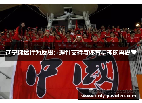 辽宁球迷行为反思:理性支持与体育精神的再思考 辽宁球迷行为反思:理性支持与体育精神的再思考