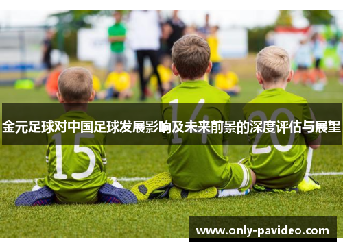金元足球对中国足球发展影响及未来前景的深度评估与展望