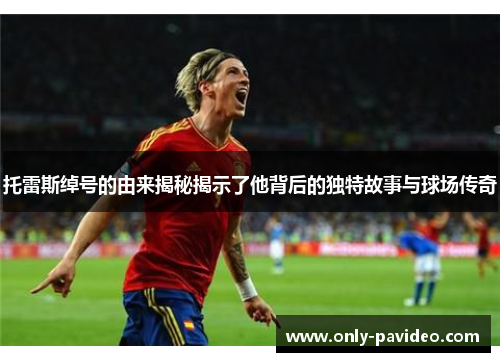 托雷斯绰号的由来揭秘揭示了他背后的独特故事与球场传奇