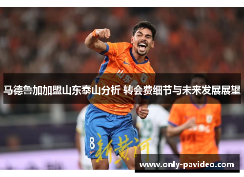 马德鲁加加盟山东泰山分析 转会费细节与未来发展展望